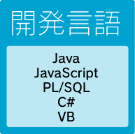 【開発言語】Java,JavaScript,PL/SQL,C#,VB